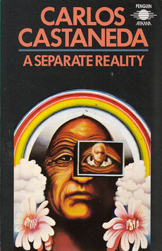 A SEPARATE REALITY (eng.)-0